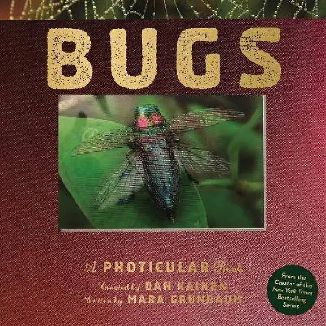 Bugs: A Photicular Book by Dan Kainen
