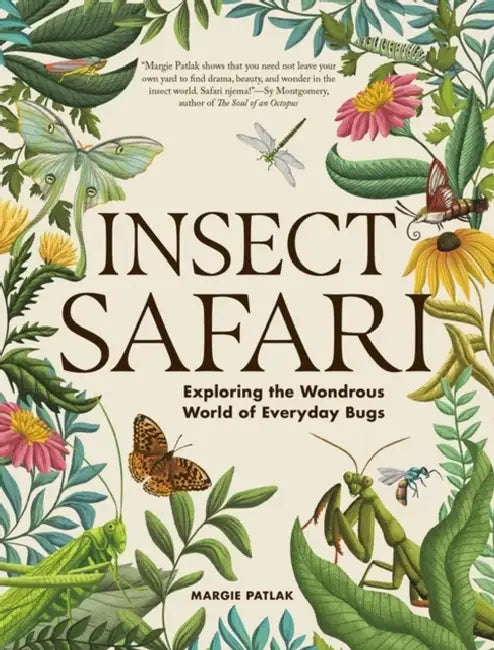 Insect Safari: Exploring the Wondrous World of Everyday Bugs by Margie Patlak
