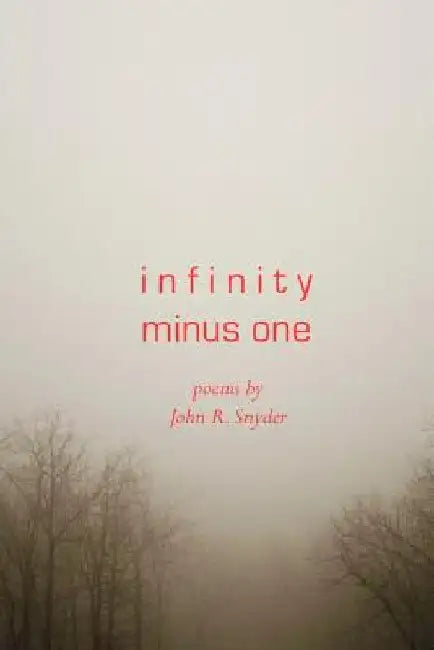 Infinity Minus One by John R. Snyder