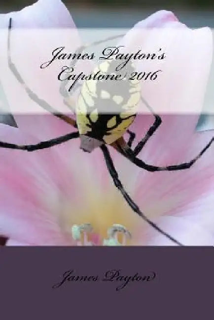 James Payton's Capstone 2016 by James D. Payton