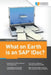 What on Earth is an SAP IDoc? by Jelena Perfiljeva