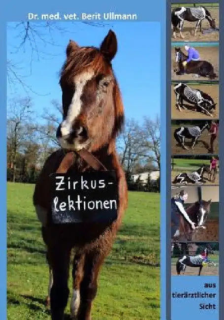 Zirkuslektionen: Zirkuslektionen aus tierärztlicher Sicht by Ullmann, Berit