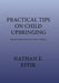 Practical Tips on Child Upbringing: Maximizing the Potentials of Your Children by Nathan E. Effik