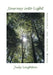 Journey into Light: Experience the Sunshine Method by Judy Leighton