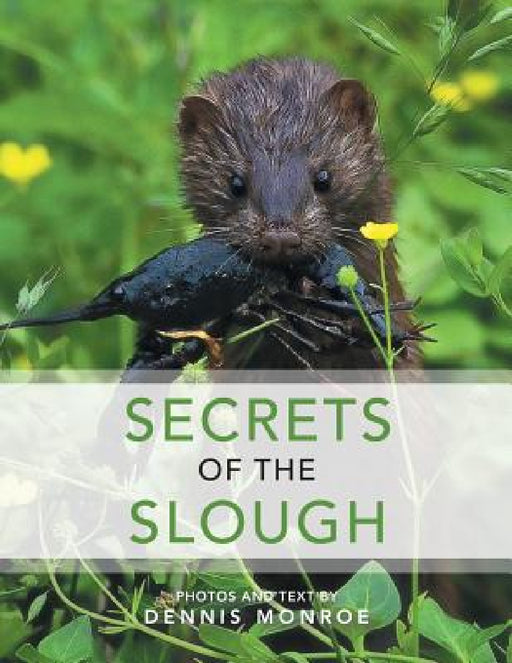 Secrets of the Slough by Dennis Monroe