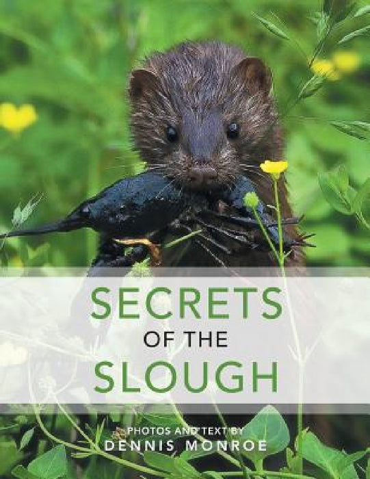 Secrets of the Slough by Dennis Monroe