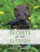 Secrets of the Slough by Dennis Monroe