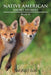 Native American Short Stories: Book II by Jim Red Fox