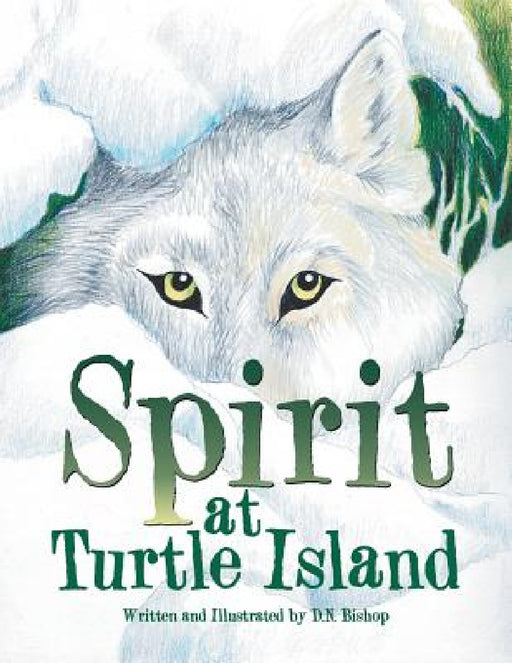Spirit at Turtle Island by D. N. Bishop