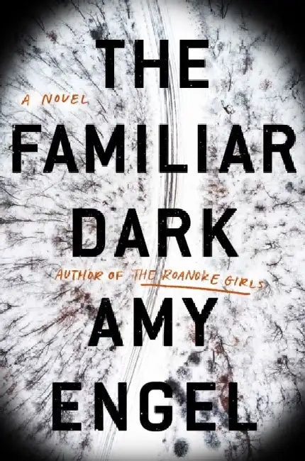 The Familiar Dark by Amy Engel