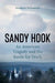 Sandy Hook: How an American Tragedy Became a Battle for Truth by Elizabeth Williamson