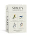 Sibley Birds of Land, Sea, and Sky: 50 Postcards by David Allen Sibley