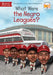 What Were the Negro Leagues? by Varian Johnson