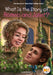 What Is the Story of Romeo and Juliet? by Max Bisantz