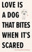 Love Is a Dog That Bites When It's Scared by Courtney Marie Andrews
