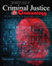 Internship Guide to Criminal Justice AND Criminology: Building Professionalism through Theory AND Practice by Gabor Toth