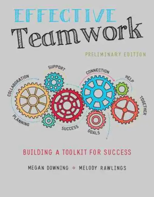 Effective Teamwork: Building a Toolkit for Success by Bluey