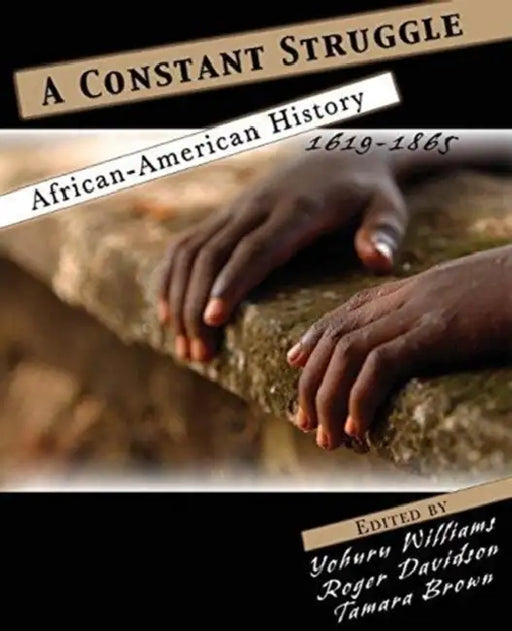 A Constant Struggle: African American History 1619-1865 by Tudor (Distinguished University Professor, Distinguished University Professor, Florida International University) Parfitt