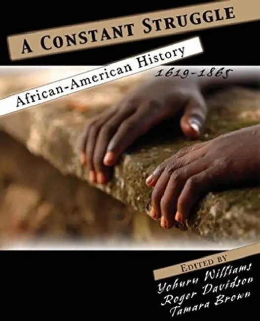 A Constant Struggle: African American History 1619-1865 by Tudor (Distinguished University Professor, Distinguished University Professor, Florida International University) Parfitt