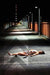 Homicide by Casey Dunn