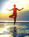 Living in Consciousness Workbook by Simos Vamvakidis