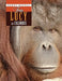 From Lucy to Columbus by Dr Catherine (Reader in English Literature, Cardiff University, UK.) Butler
