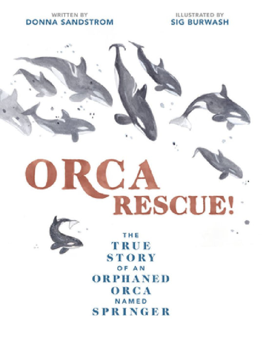 Orca Rescue!: The True Story of an Orphaned Orca Named Springer by Donna Sandstrom