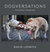 Dogversations: Conversations with My Dogs by David Leswick
