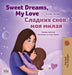 Sweet Dreams, My Love (English Russian Bilingual Children's Book) by Shelley Admont