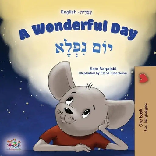 A Wonderful Day (English Hebrew Bilingual Children's Book) by Sagolski, Sam