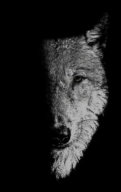 In the Company of Wolves: Werewolves, Wolves and Wild Children by Sam George