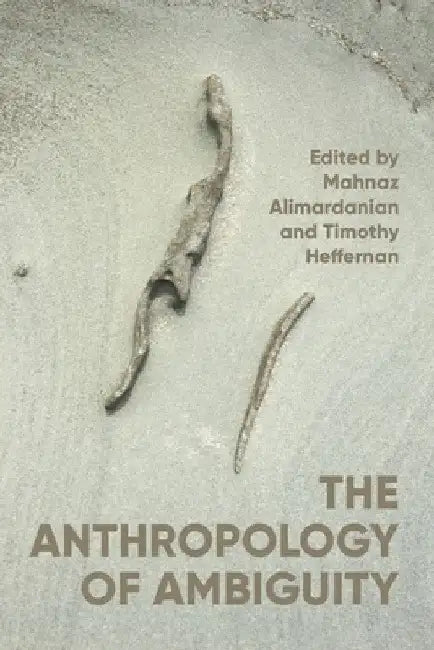 The Anthropology of Ambiguity by Mahnaz Alimardanian