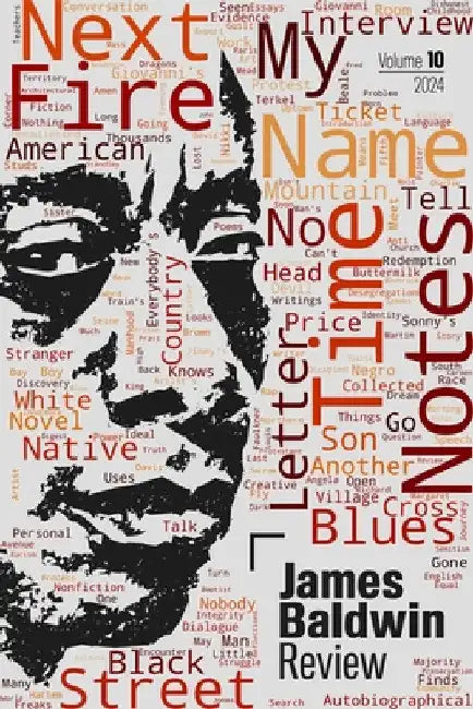 James Baldwin Review: Volume 10 by Douglas Field