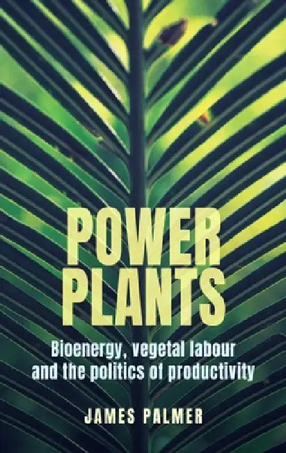 Power Plants: Bioenergy, Vegetal Labour and the Politics of Productivity by James Palmer