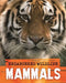 Endangered Wildlife: Rescuing Mammals by Anita Ganeri