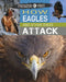 Predator Vs Prey: How Eagles and Other Birds Attack! by Tim Harris