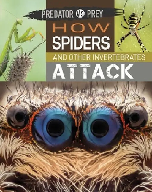 Predator Vs Prey: How Spiders and Other Invertebrates Attack! by Tim Harris