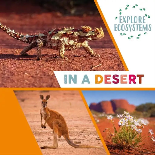 Explore Ecosystems: In a Desert by Sarah Ridley