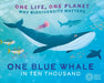 One Life, One Planet: One Blue Whale in Ten Thousand by Sarah Ridley
