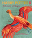 Harry Potter – A History of Magic by British Library