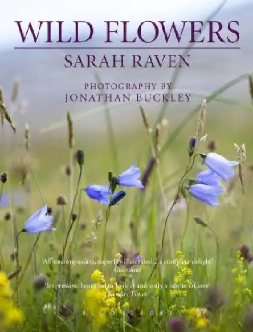 Sarah Raven's Wild Flowers by Sarah Raven