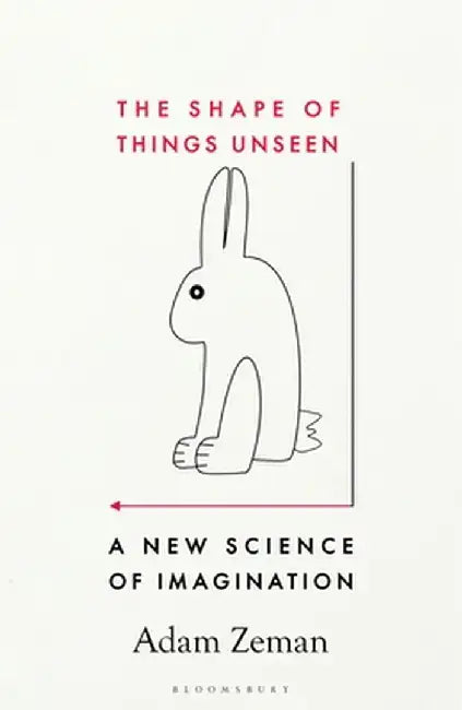 The Shape of Things Unseen by Adam Zeman