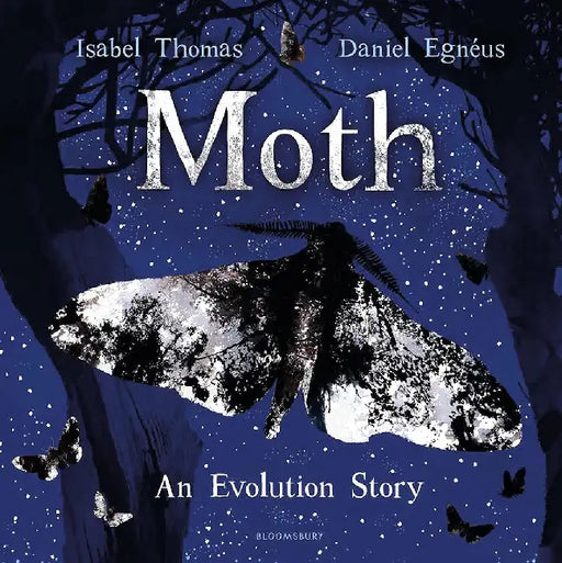 Moth by Isabel Thomas