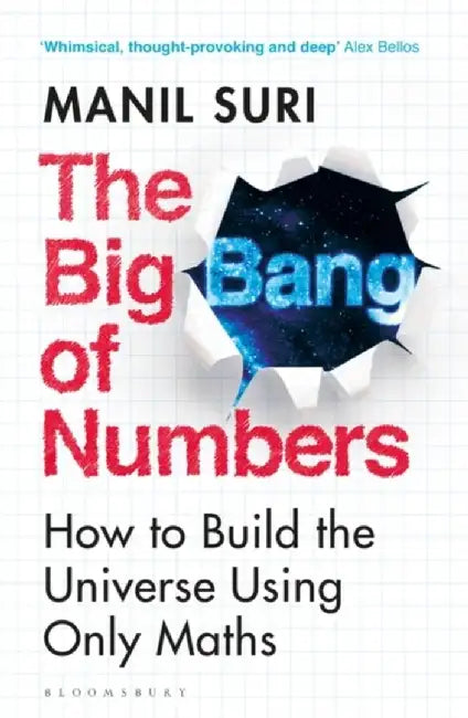 The Big Bang of Numbers by Manil Suri
