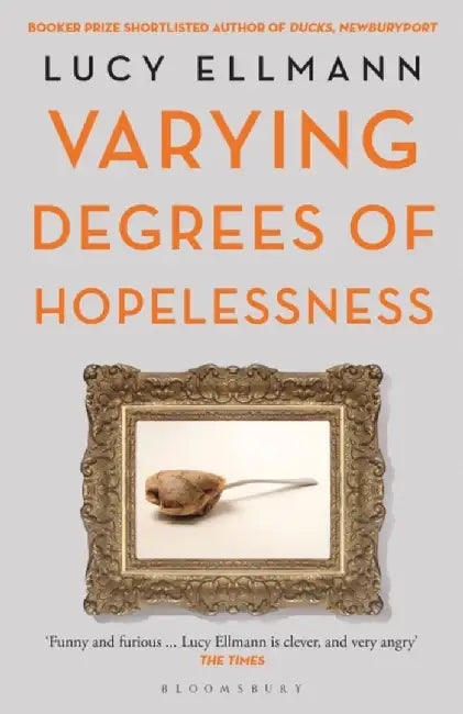 Varying Degrees of Hopelessness by Lucy Ellmann