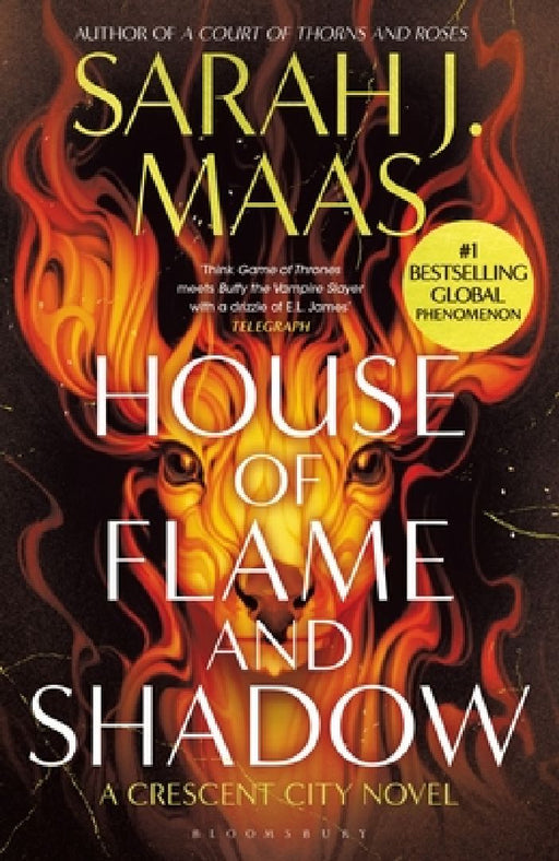 House of Flame and Shadow: The INTERNATIONAL BESTSELLER and the smouldering third book in the Crescent City series, from the creator of ACOTAR by Sarah J. Maas