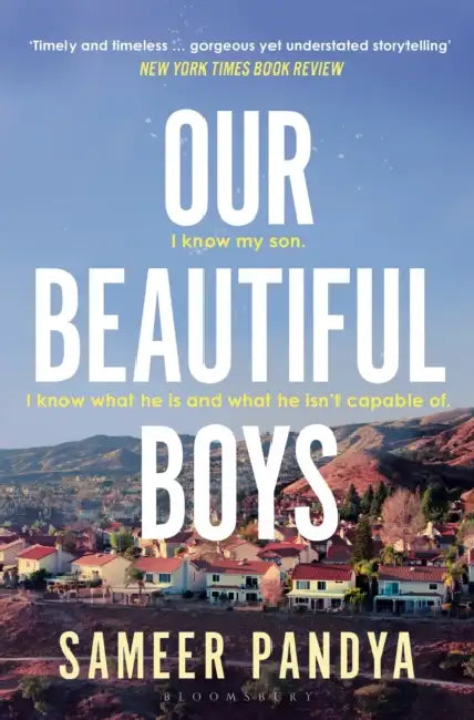 Our Beautiful Boys by Sameer Pandya