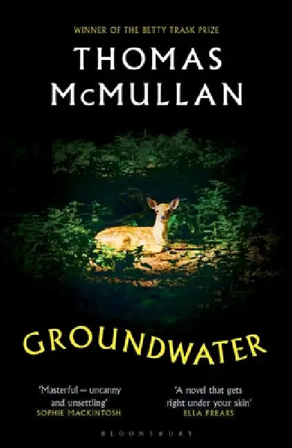 Groundwater: ‘Complex, chilling, masterful' Financial Times by Thomas McMullan