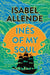 Ines of My Soul by Isabel Allende