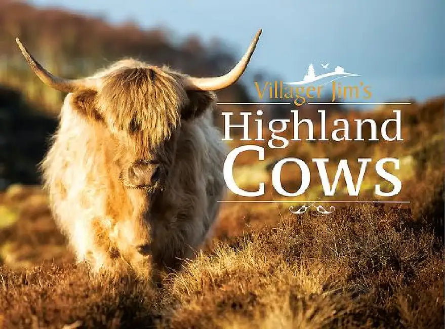 Villager Jim's Highland Cows by Villager Jim